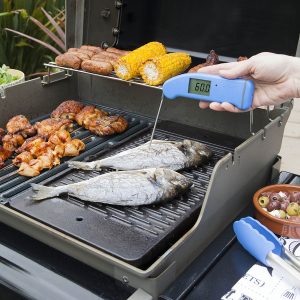 234 457 Thermapen Blue Bbq 30 D
