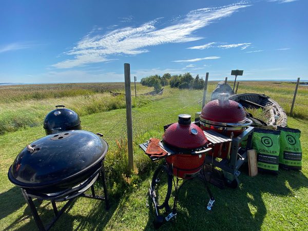 BBQ Entertainment OÜ Enn Tobreluts IMG 0947