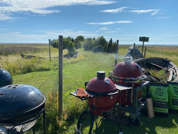 BBQ Entertainment OÜ Enn Tobreluts IMG 0948