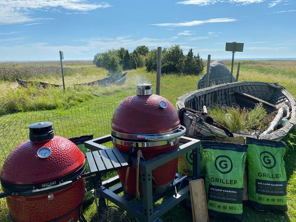 BBQ Entertainment OÜ Enn Tobreluts IMG 0952