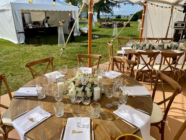 BBQ Entertainment OÜ Enn Tobreluts IMG 1141