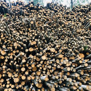 GRILLEP BBQ Entertainment OÜ IMG 6794