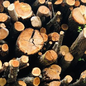 GRILLEP BBQ Entertainment OÜ IMG 6795