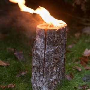 BBQ Entertainment OÜ Woodbright KASEKÜÜNAL S30 3