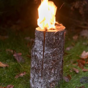 BBQ Entertainment OÜ Woodbright KASEKÜÜNAL S30 4