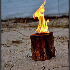 BBQ Entertainment OÜ Woodbright LAPIKÜÜNAL S15 2