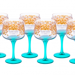 Copa Glasses Empty Silent Pool2