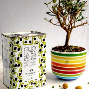 Frantoio Muraglia Extra Virgin Olive Oils (photo Tiit Efert, BBQ Entertainment OÜ) IMG 1881