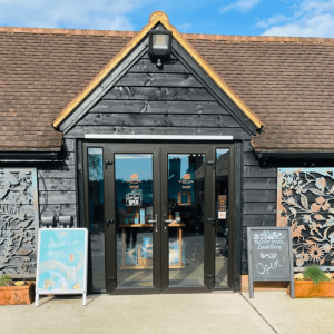 POOL SILENT POOL House