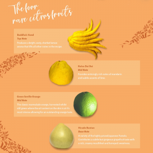 Silent Pool Gin Rare Citrus4