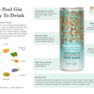 Silent Pool Gin & Tonic Kokteil 250 Ml INFO