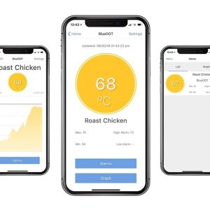 ETI BLUEDOT BBQ Bluetooth Thermometer (alarmiga)..