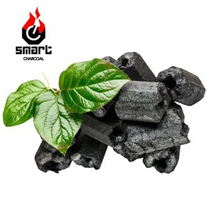 SMART CHARCOAL BBQ Brigett Grillsüsi..