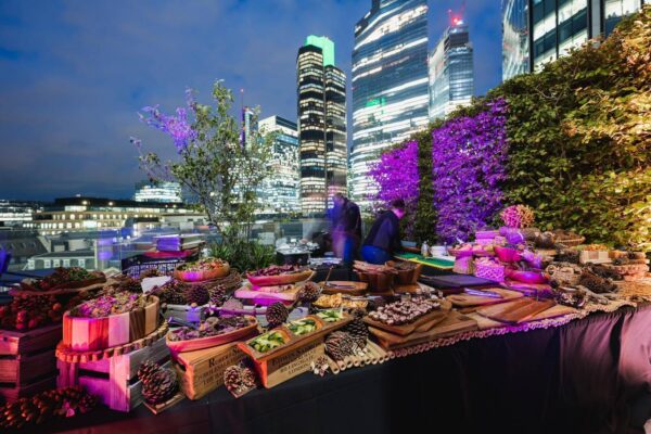  25.11.23 BUFFEELAUD, SAAL JA NIISAMA MELU.,