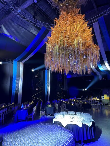 20.01.24 BUFFEELAUD, SAAL JA NIISAMA MELU 9