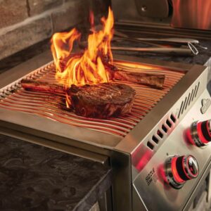 BBQ Entertainment Napoleon 700seeria Built In Sisseehitatav, Kahe Infrapunapõletiga Roostevaba Gaasipliit (6)