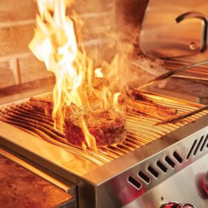 BBQ Entertainment Napoleon 700seeria Built In Sisseehitatav, Kahe Infrapunapõletiga Roostevaba Gaasipliit (9)