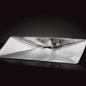 BBQ Entertainment Napoleon Roque 425 Rasvaeemaldusplaadid 3tk (2)