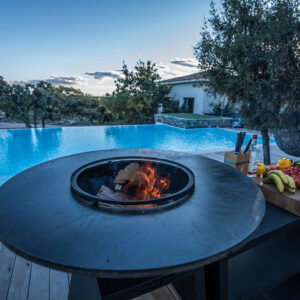 BBQ Entertainment KAITSERAAMRAUD D82 (5)