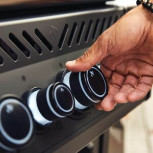 BBQ Entertainment RSE425RSIBPK (3)