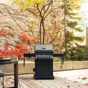 BBQ Entertainment RSE425RSIBPK (8)