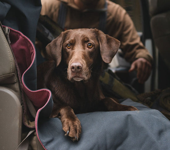 YETI ilmastikukindel piknikutekk Lowlands Blanket Fireside Red / punane - Image 9