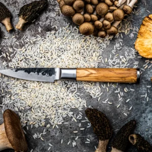 BBQ Entertainment Forged OLIVE Paring Knife KOORIMISNUGA 8,5 Cm (3)