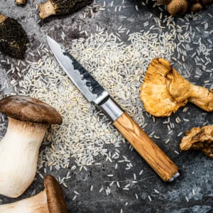 BBQ Entertainment Forged OLIVE Paring Knife KOORIMISNUGA 8,5 Cm (5)