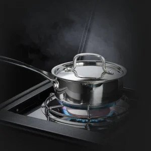 Dujinis Grilis Napoleon 425 Rsb Su Sonine Virykle.jpg