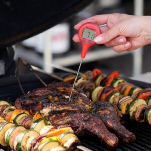 Thermastick Pocket Thermometers 4