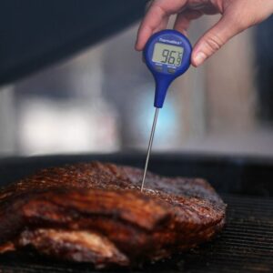 Thermastick Pocket Thermometers 6