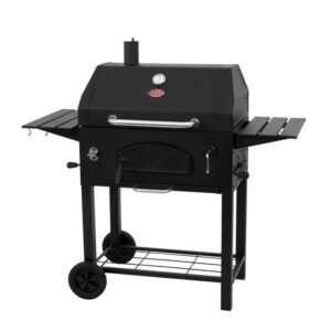 30 Traditional Charcoal Grill Char Griller 2