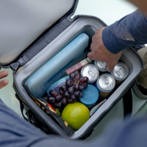 230077 PDP Hopper Flip 12 Coldce 1.png